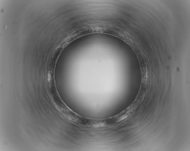 X0000066020456200603241539