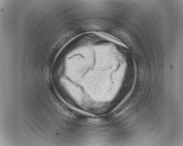 X0000066020457200603241539