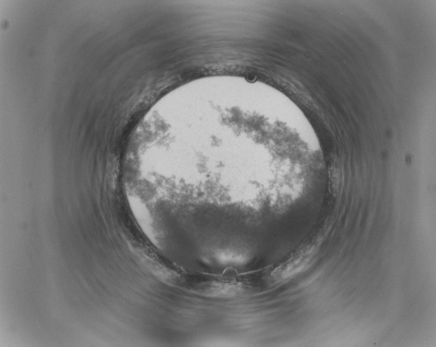 X0000066020458200603241539