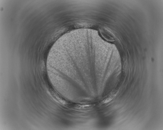 X0000066020459200603241539