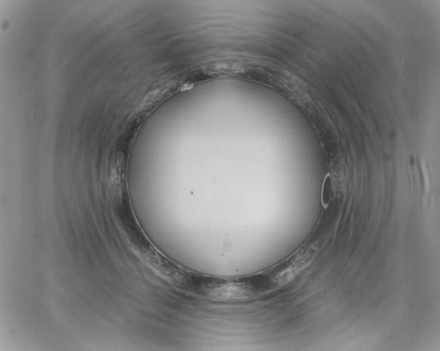 X0000066020460200603241539