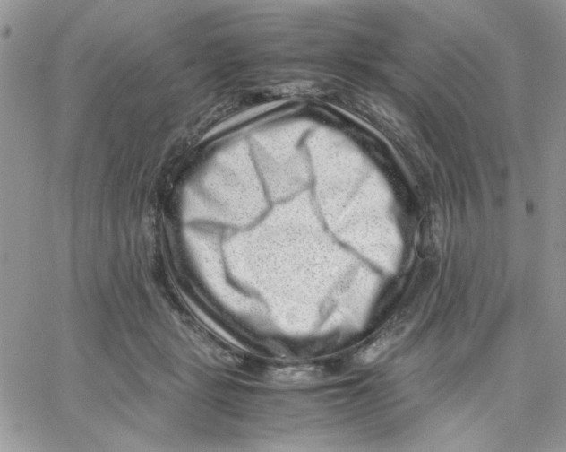 X0000066020461200603241539