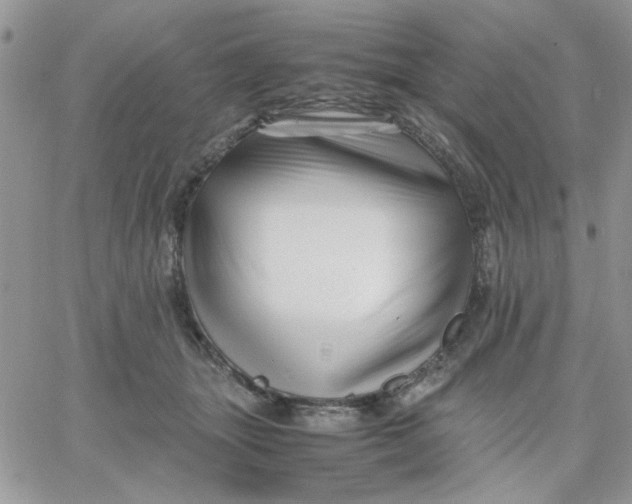 X0000066020463200603241539