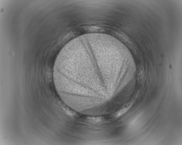 X0000066020469200603241539