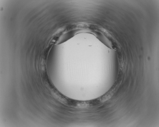 X0000066020470200603241539