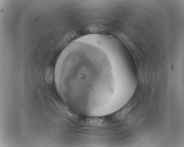 X0000066020471200603241539