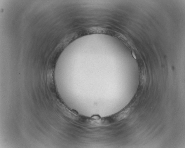 X0000066020473200603241540