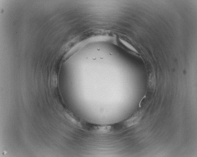 X0000066020474200603241540