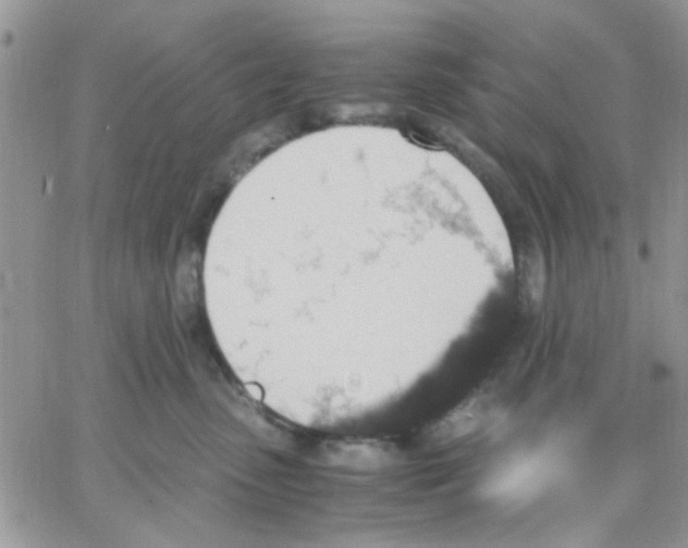 X0000066020475200603241540