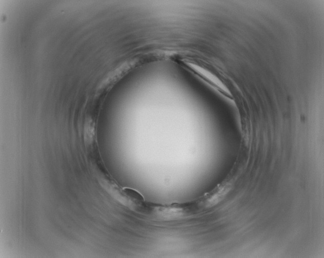 X0000066020476200603241540