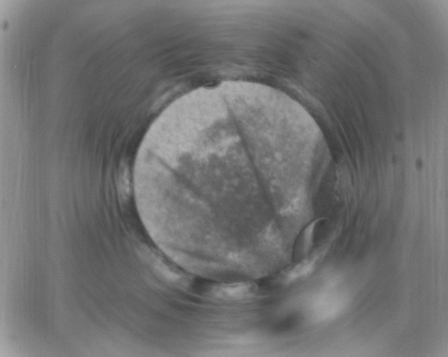 X0000066020479200603241540