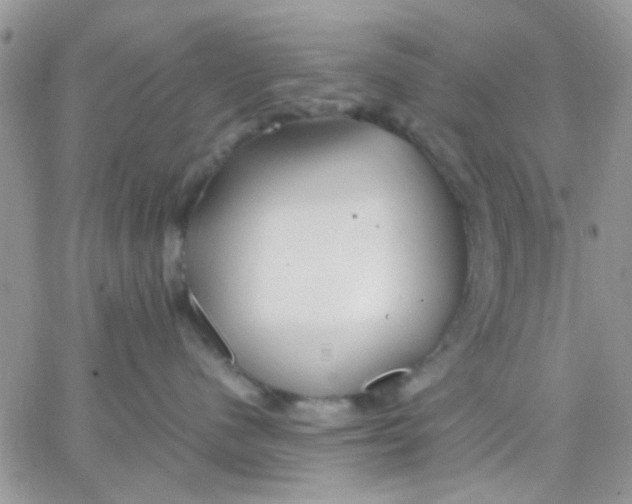 X0000066020480200603241540