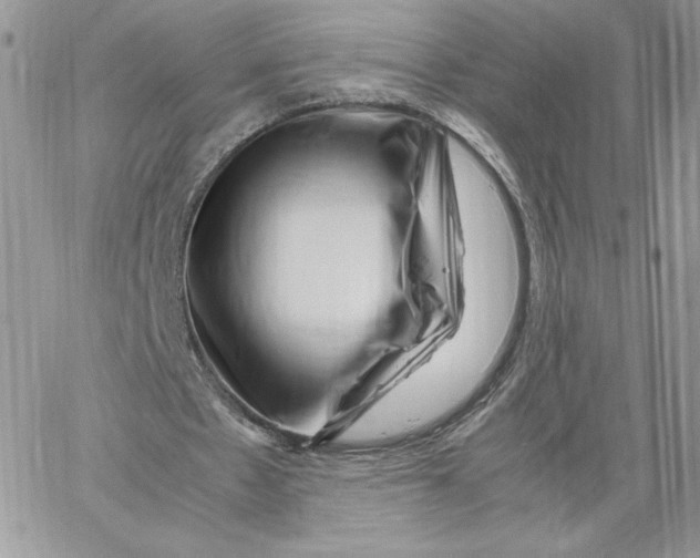 X0000066020481200603241539