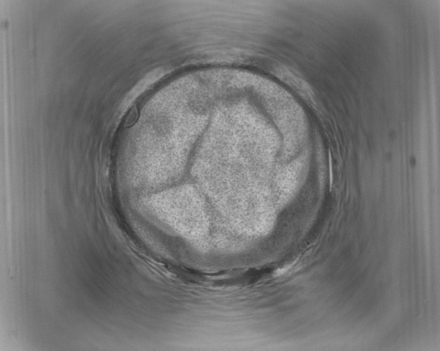 X0000066020483200603241539