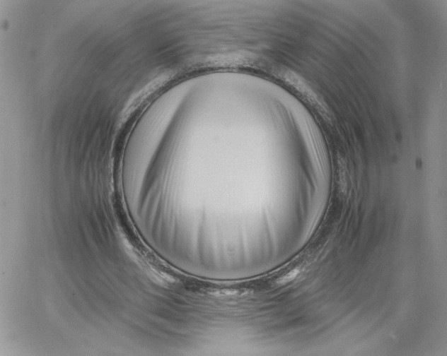 X0000066020486200603241539