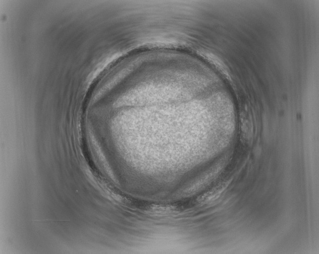 X0000066020487200603241539