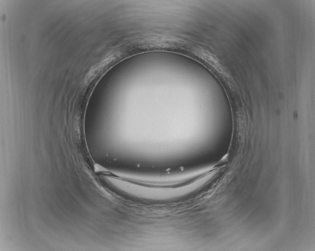 X0000066020489200603241539