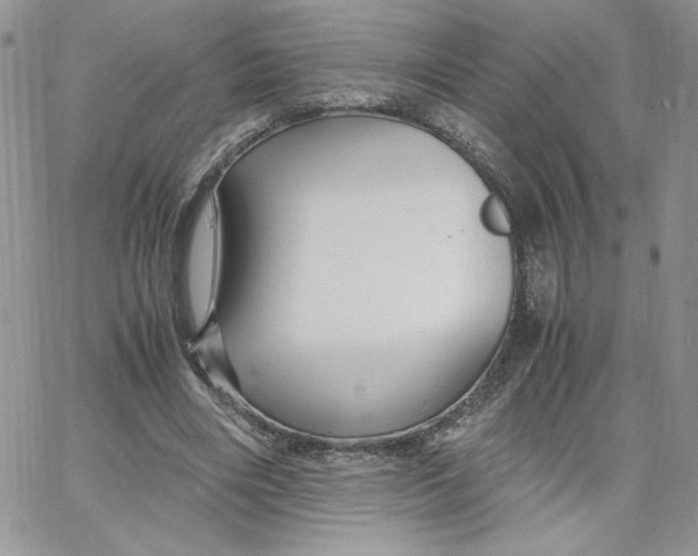 X0000066020490200603241539