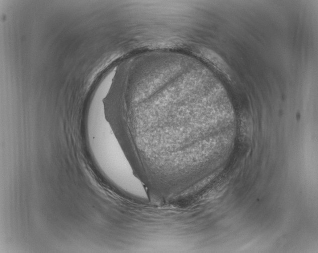 X0000066020491200603241539