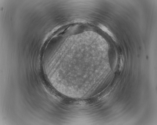 X0000066020492200603241539