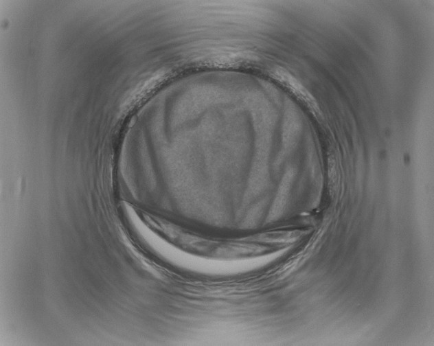 X0000066020493200603241539