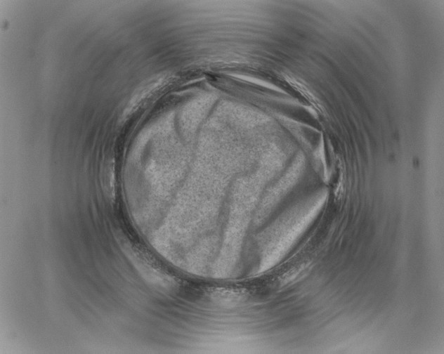 X0000066020494200603241539