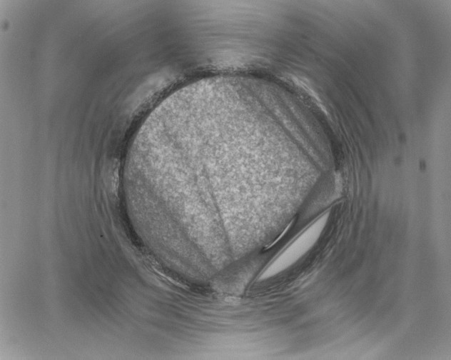 X0000066020495200603241539