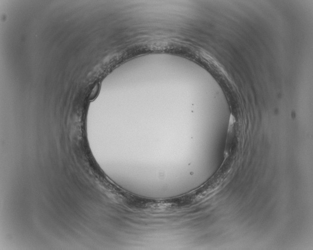 X0000066020497200603241539