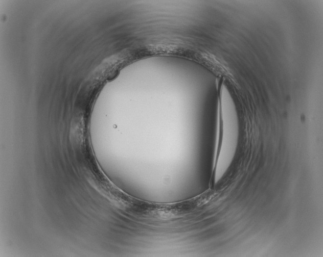 X0000066020498200603241539