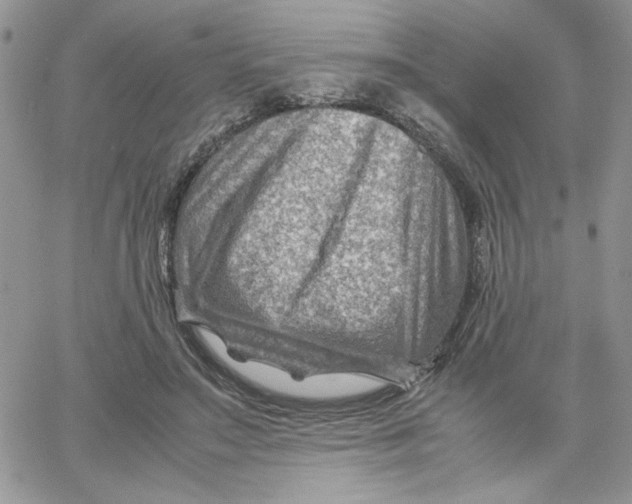 X0000066020499200603241539