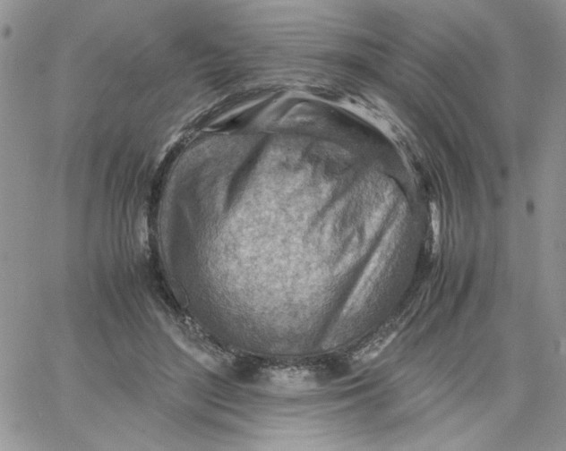 X0000066020500200603241539