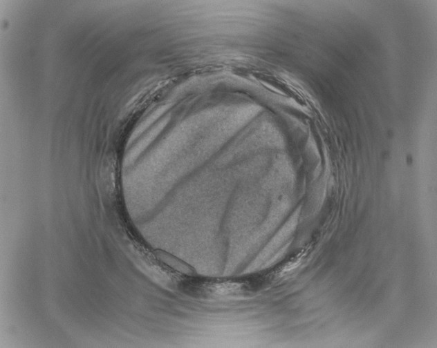 X0000066020501200603241539