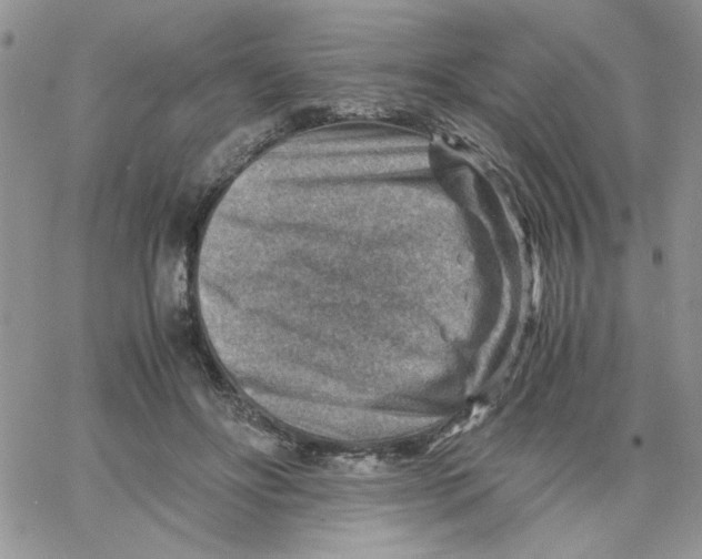 X0000066020502200603241539