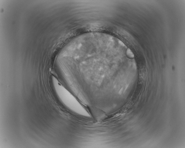 X0000066020503200603241538