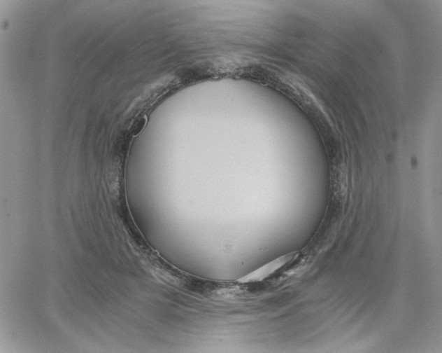 X0000066020505200603241538