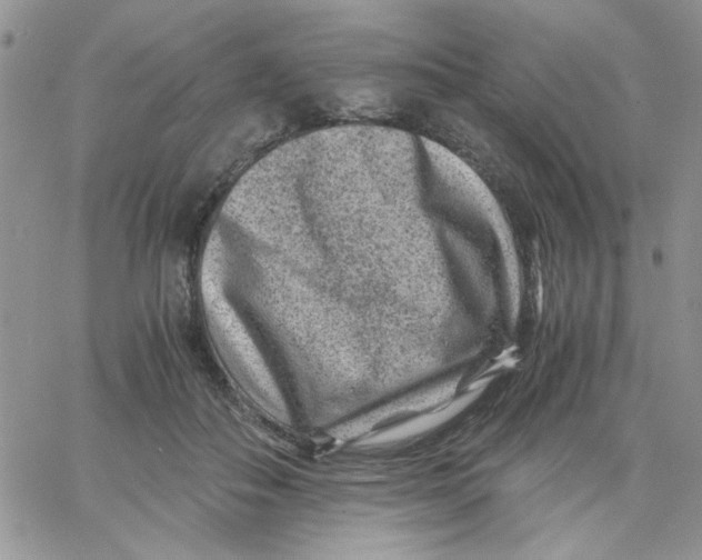 X0000066020506200603241538