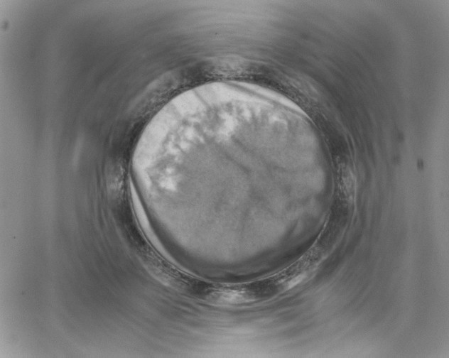 X0000066020507200603241538