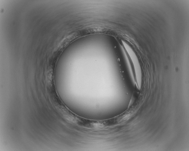 X0000066020509200603241538