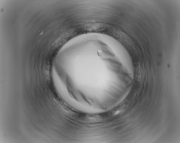 X0000066020510200603241538