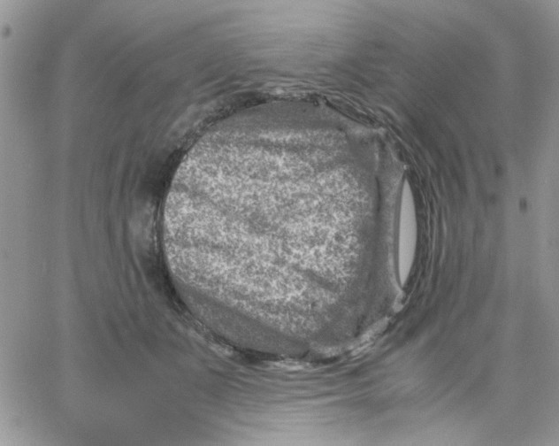 X0000066020511200603241538