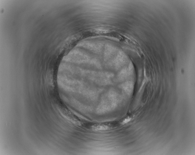 X0000066020512200603241538