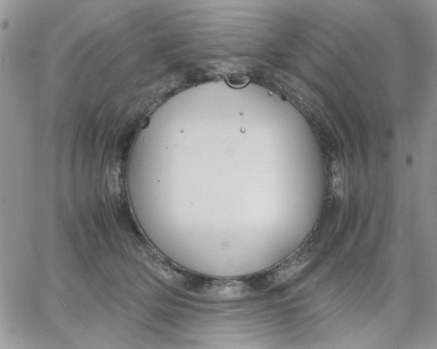 X0000066020514200603241538