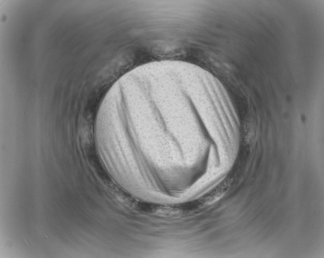 X0000066020515200603241538