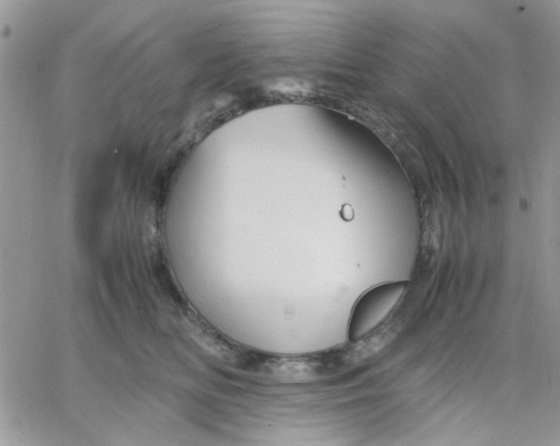 X0000066020518200603241538