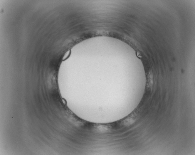 X0000066020522200603241538