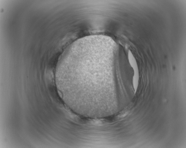 X0000066020523200603241538