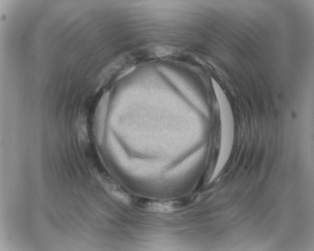 X0000066020524200603241538