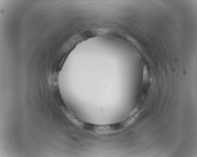 X0000066020525200603241538