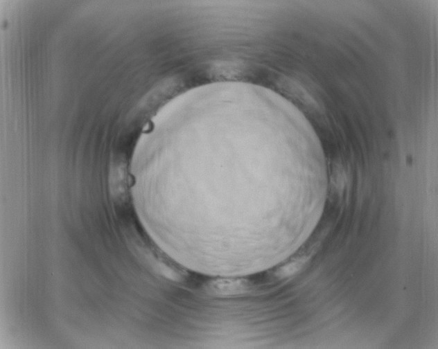 X0000066020526200603241538