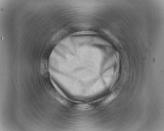 X0000066020528200603241538